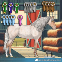 Horse Color:Silver Classic Champagne Roan 