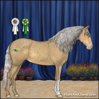 Horse Color:Silver Classic Cream Champagne Roan 