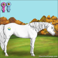 Horse Color:Gray Classic Champagne Splash Rabicano 