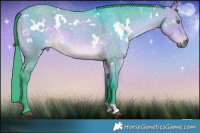 Horse Color:Watercolor White Spotted Buckskin Roan Dun 