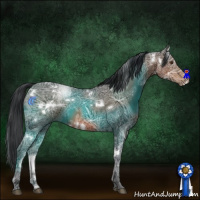 Horse Color:White Spotted Bay Ice