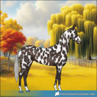 Horse Color:Silver Brown Near Leopard 