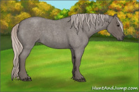 Horse Color:Silver Blue Roan 