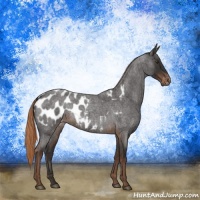 Horse Color:Liver Red Roan Near Leopard 