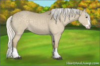 Horse Color:Silver Smoky Grullo Splash 
