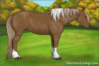 Horse Color:Chocolate Palomino Tobiano 