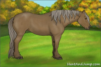 Horse Color:Chocolate Palomino Roan 