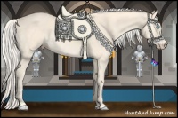 Horse Color:Cremello 