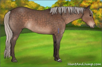 Horse Color:Silver Brown Roan
