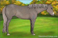 Horse Color:Silver Black