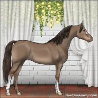 Horse Color:Liver Red Dun 