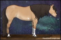 Horse Color:Bay Dun Tobiano 