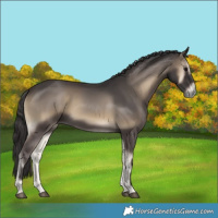 Horse Color:Smoky Blue Onyx 