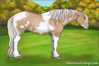 Horse Color:Silver Blue Roan Pearl Tobiano Frame 