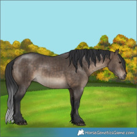 Horse Color:Brown Dun Brindle 