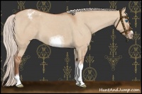 Horse Color:Silver Bay Dun Sabino Tobiano Frame Appaloosa Rabicano 