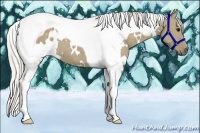 Horse Color:White Spotted Silver Smoky Grullo Tobiano