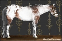 Horse Color:White Spotted Bay Roan Frame Blanket 