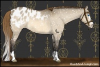 Horse Color:Buckskin Dun Splash Appaloosa