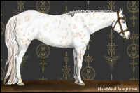 Horse Color:Gold Cream Champagne Pearl Near Leopard 