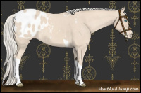 Horse Color:Cremello Tobiano Blanket