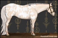 Horse Color:Silver Sable Cream Champagne Pearl Appaloosa 