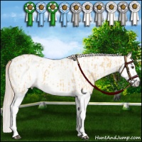 Horse Color:Palomino Dun Splash Appaloosa  and Gray Palomino Dun Splash Appaloosa 