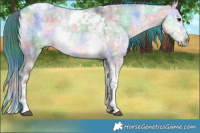 Horse Color:Platinum Nacre Buckskin Ice Dun Splash Tobiano 