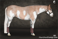 Horse Color:Silver Bay Roan Splash Rabicano 