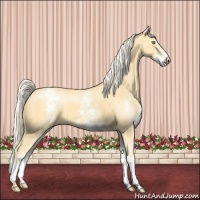Horse Color:White Spotted Gold Cream Champagne 