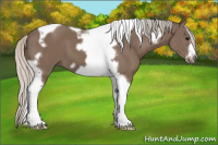 Horse Color:Silver Black Tobiano Frame 