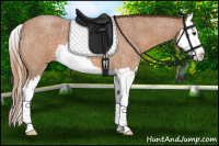 Horse Color:Red Roan Splash 