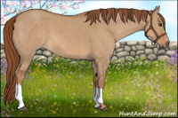 Horse Color:Red Dun 