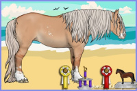 Horse Color:Silver Bay Dun Sabino