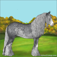 Horse Color:Silver Black Chinchilla Sabino 