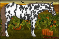 Horse Color:Liver Chestnut Near Leopard 