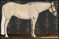 Horse Color:Chocolate Silver Smoky Creme