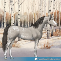 Horse Color:Classic Cream Champagne Ice 