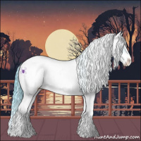Horse Color:Watercolor Black Ice Sabino Appaloosa Rabicano 