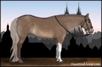 Horse Color:Silver Brown Dun 