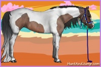 Horse Color:Bay Roan Tobiano