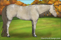 Horse Color:Classic Cream Champagne Ice 