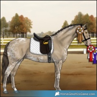Horse Color:Classic Cream Champagne Ice 