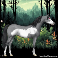 Horse Color:Grullo Chinchilla Frame Brindle 