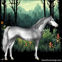 Horse Color:Silver Blue Onyx Chinchilla Sabino 