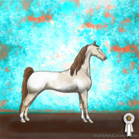 Horse Color:Smoky Grullo Pearl Sabino Appaloosa Brindle