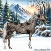 Horse Color:Silver Classic Champagne Ice Dun