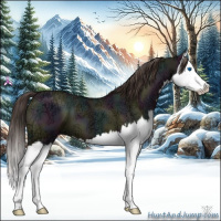 Horse Color:Midnight Classic Champagne Ice Dun Splash