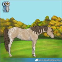 Horse Color:Classic Cream Champagne Ice 