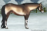 Horse Color:Bay Onyx 
